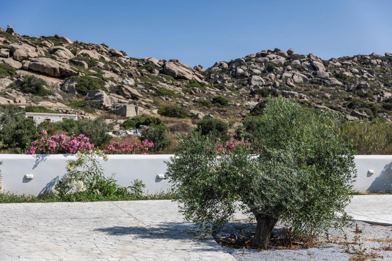 Arsenis Luxury Villa